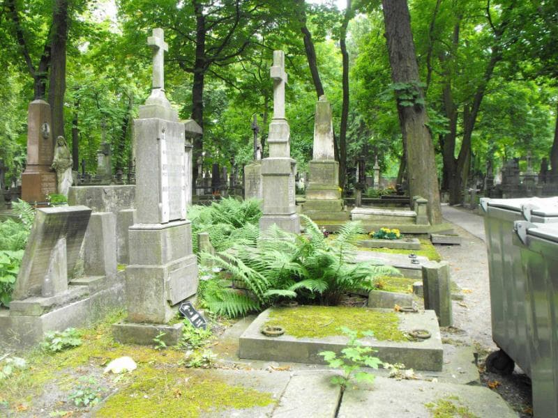 Zdjęcie grobu Paulina Cyrońska (1)