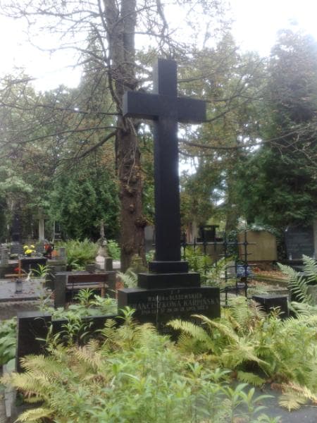 Zdjęcie grobu Irena Ligowska (1)