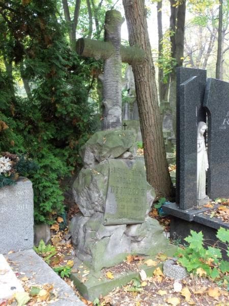 Zdjęcie grobu Apolonja Heinrich (2)