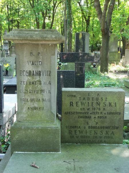 Zdjęcie grobu Jan Bohdanowicz (2)