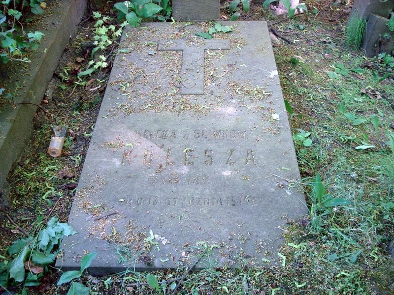Zdjęcie grobu Helena Kulesza (2)