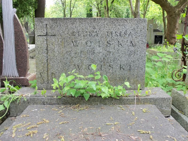 Zdjęcie grobu Celina Teresa Wolska (2)