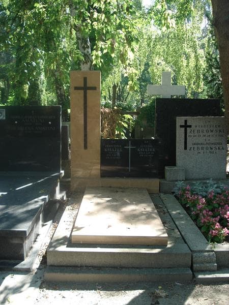 Zdjęcie grobu: Franciszek Książek