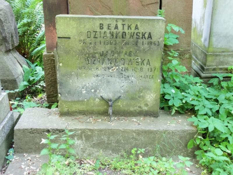 Zdjęcie grobu Beatka Dziankowska (2)