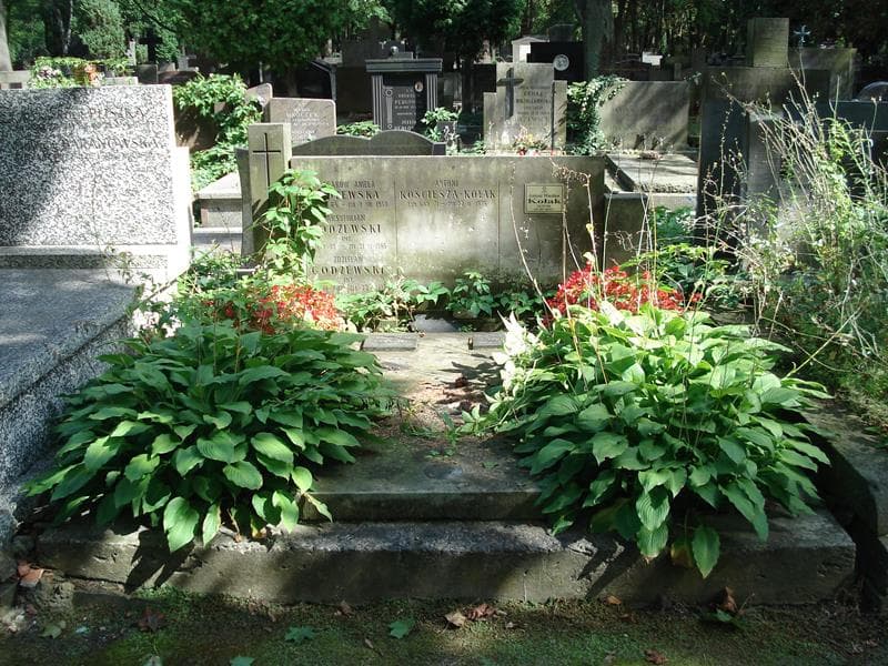Zdjęcie grobu: Antoni Wiesław Kołak