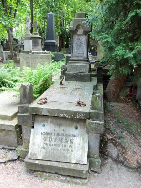 Zdjęcie grobu: Józef Gutman