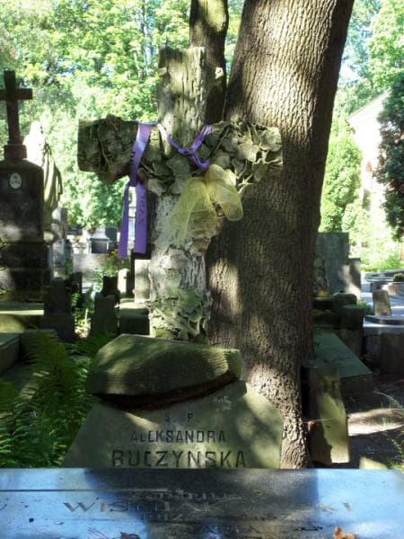 Zdjęcie grobu Aleksandra Buczyńska (2)