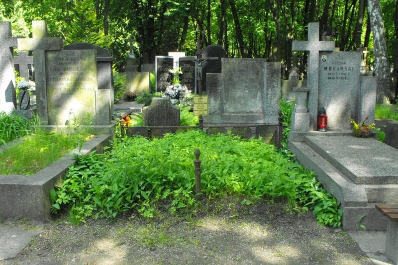Zdjęcie grobu: Władziunia Uzarowicz