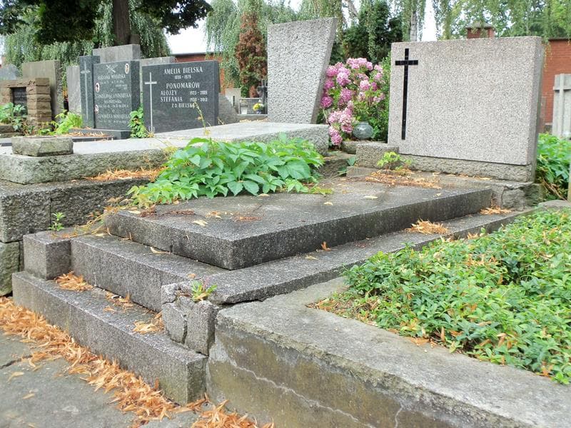 Zdjęcie grobu Władysław Grabowicz (1)