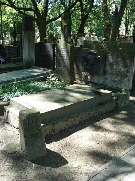 Zdjęcie grobu Zofia Niesiołowska - Rothertowa (1)