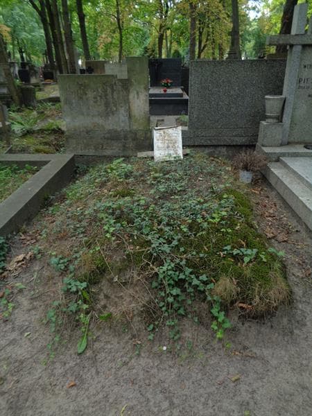 Zdjęcie grobu Helena Stodulska (1)