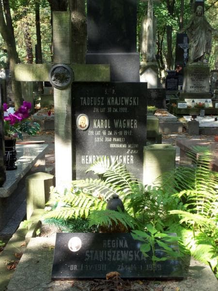 Zdjęcie grobu Karol Wagner (2)