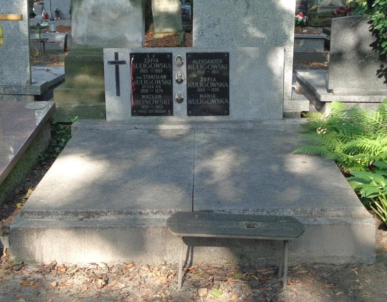Zdjęcie grobu Aleksander Kuligowski (1)