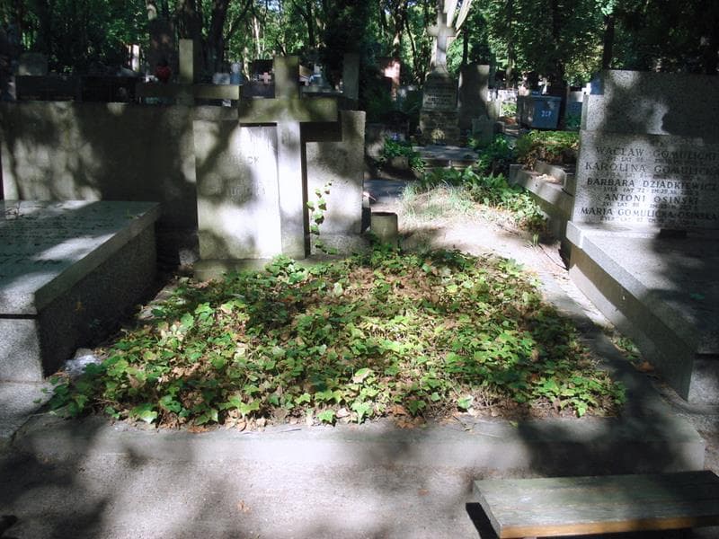 Zdjęcie grobu Wiktor Gomulicki (1)