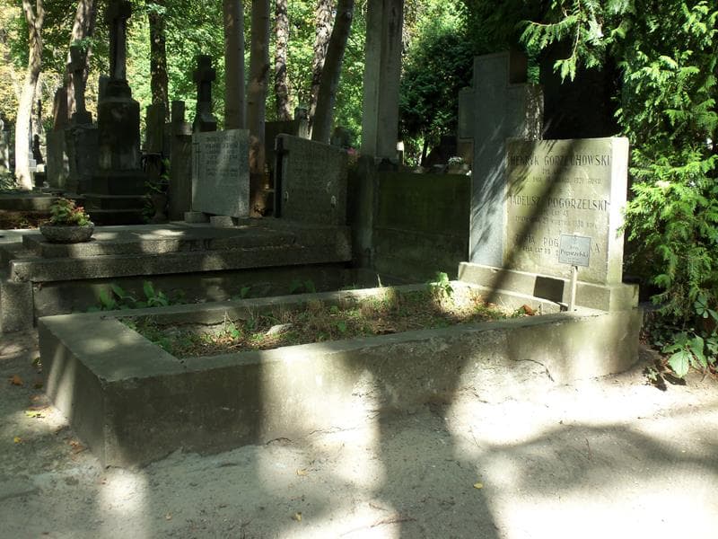 Zdjęcie grobu Henryk Gorzechowski (1)
