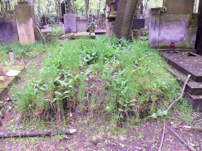 Zdjęcie grobu: Pole Grobowe