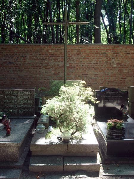 Zdjęcie grobu: Barbara Citkowicz-Starczewska