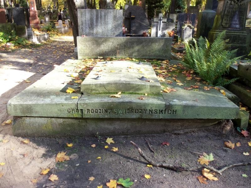 Zdjęcie grobu: Stanisława Piotrowska