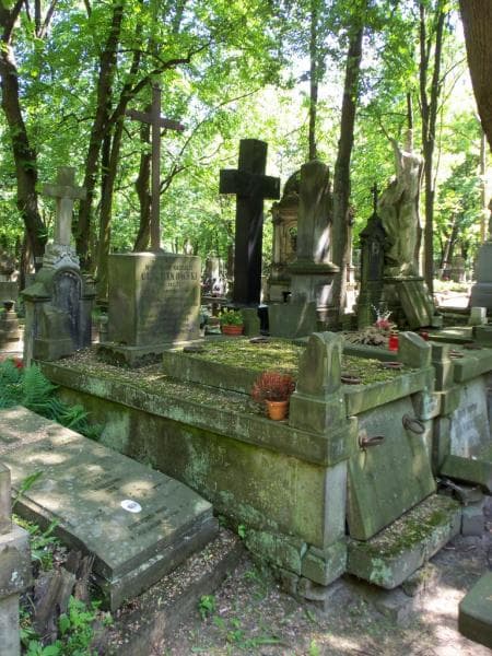 Zdjęcie grobu Władysław Kazimierz Ciechanowski (1)