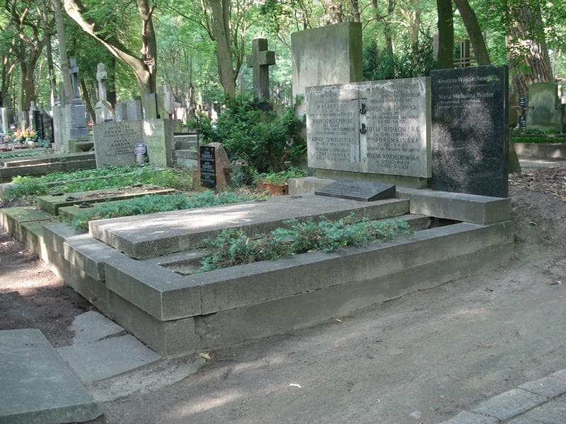 Zdjęcie grobu Alfred Wróblewski (1)