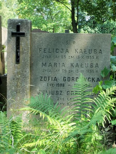 Zdjęcie grobu Zofia Gorczycka (2)