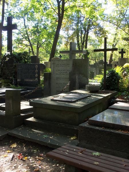 Zdjęcie grobu Feliks Białowiejski (2)