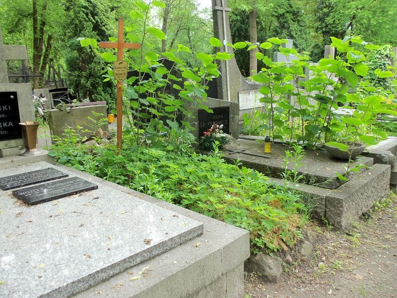 Zdjęcie grobu Apolonia Dyź (1)