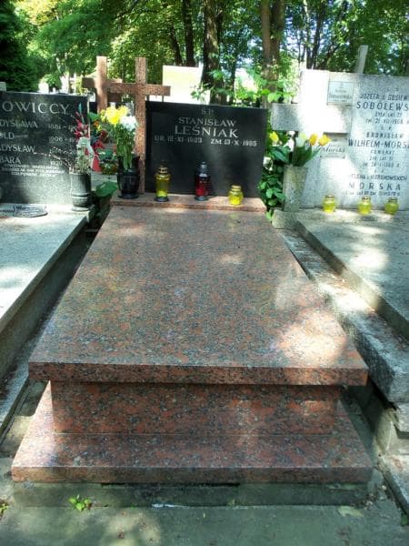Zdjęcie grobu: Stanisław Leśniak