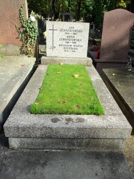 Zdjęcie grobu: Jan Lewandowski