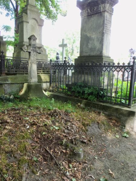 Zdjęcie grobu Gustaw Wołowski (1)