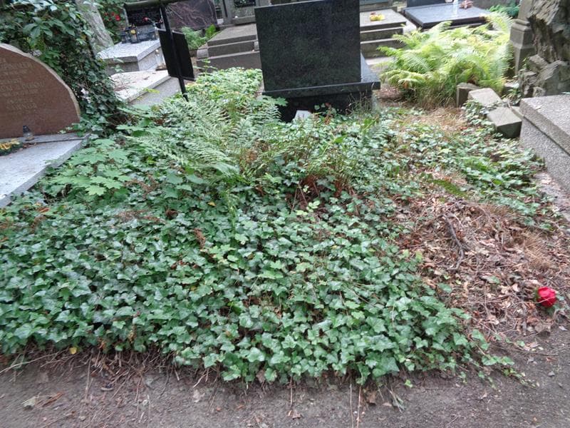 Zdjęcie grobu: Pole Grobowe