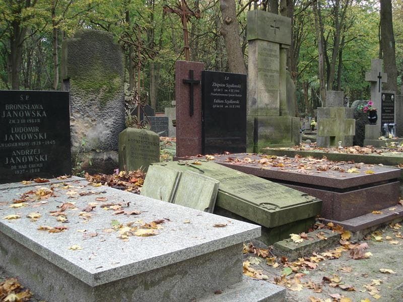 Zdjęcie grobu Teofil Goniszewski (1)