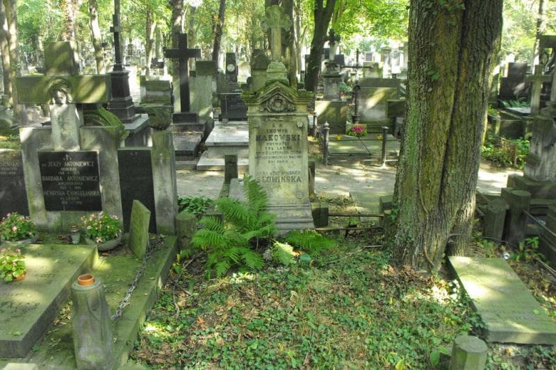 Zdjęcie grobu: Ludwik Makowski