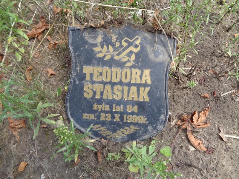 Zdjęcie grobu Anonim / Teodora Stasiak (2)