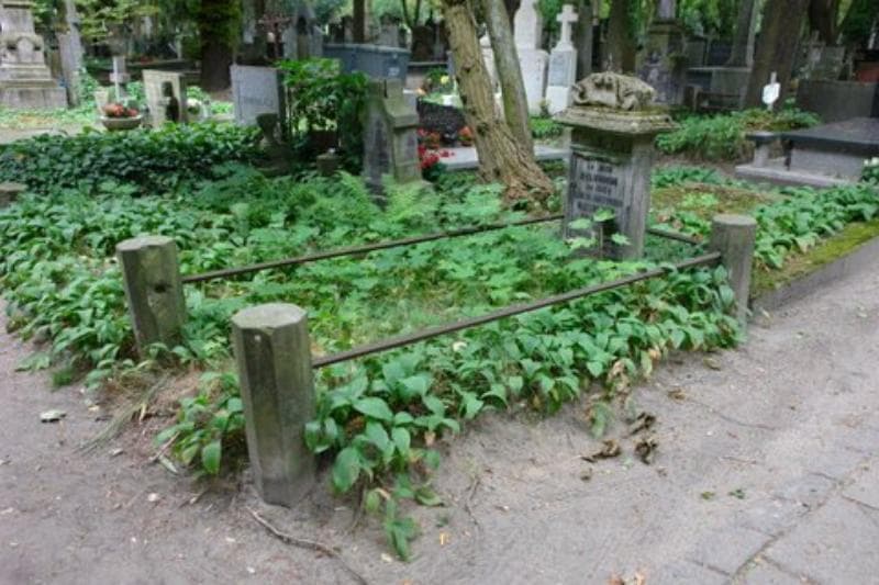 Zdjęcie grobu Józef Malinowski (1)