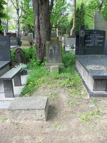 Zdjęcie grobu: Władysław Rydel