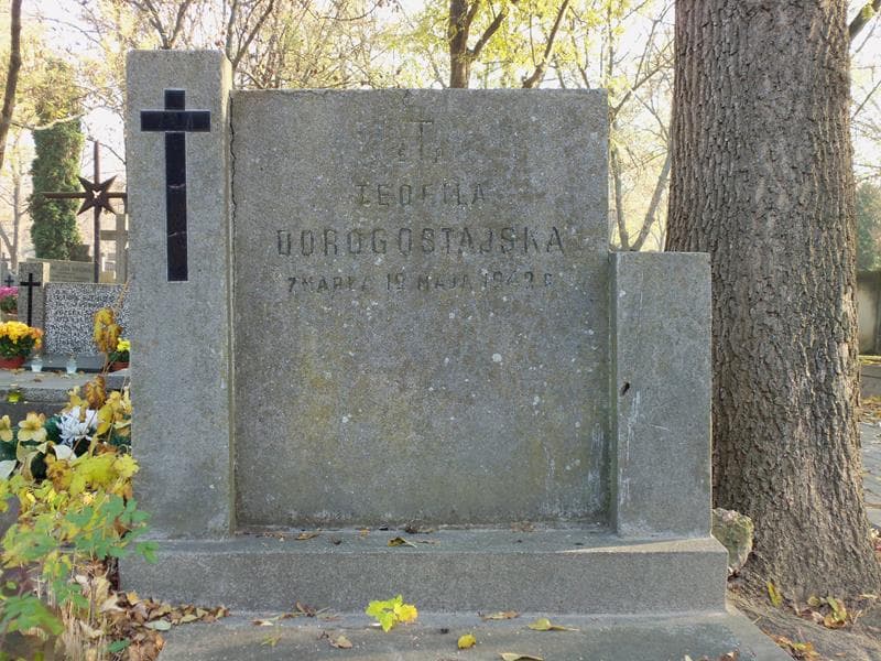 Zdjęcie grobu Teofila Dorogostajska (2)