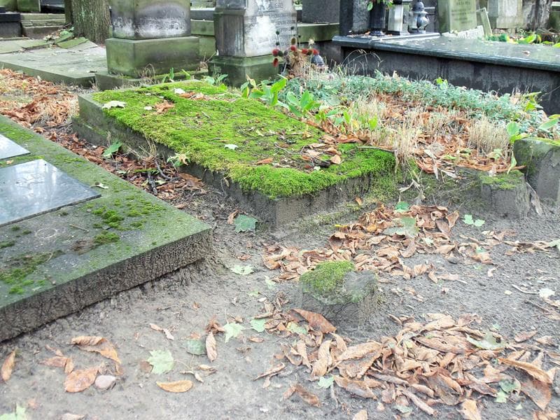 Zdjęcie grobu Maryanna Dąbrowska (1)
