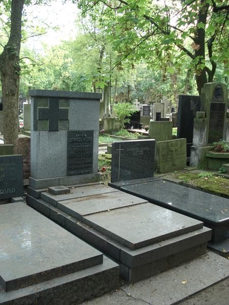 Zdjęcie grobu Henryk Janczewski (1)
