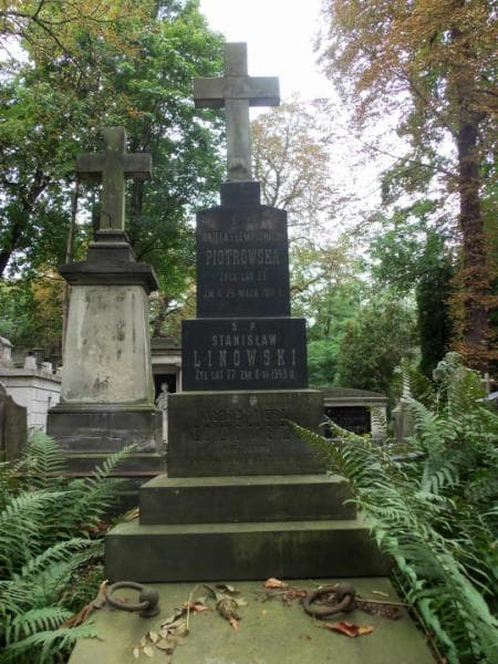 Zdjęcie grobu Aniela Piotrowska (2)