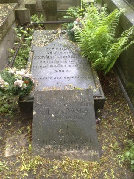 Zdjęcie grobu Ludwik Mieszkowski (1)