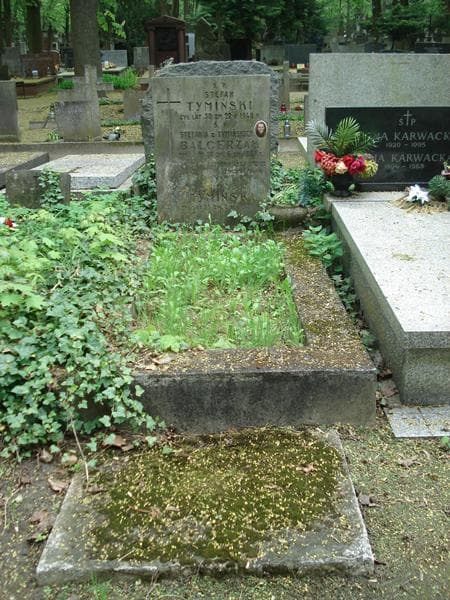 Zdjęcie grobu: Stefan Tymiński