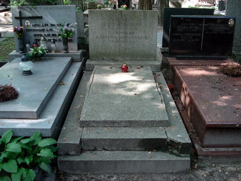 Zdjęcie grobu Piotr Dunin-Wąsowicz (1)