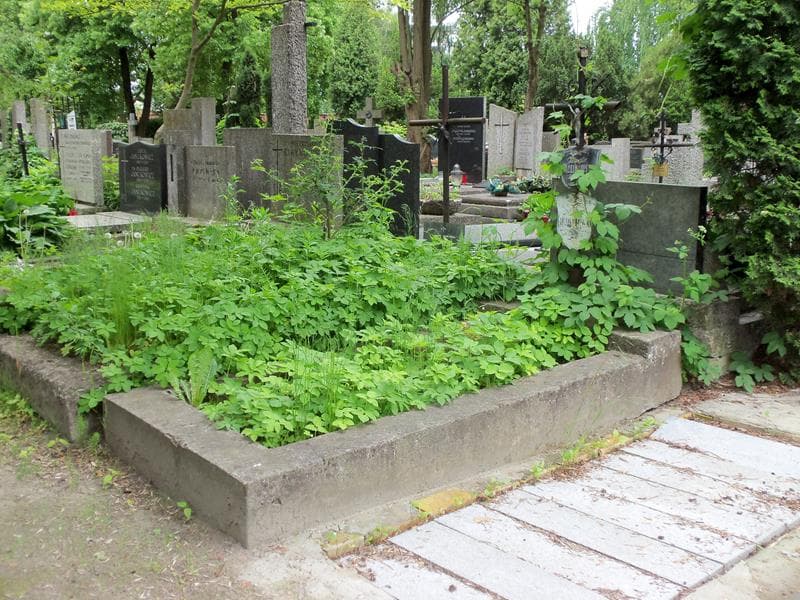 Zdjęcie grobu Józefa Malinowska (1)