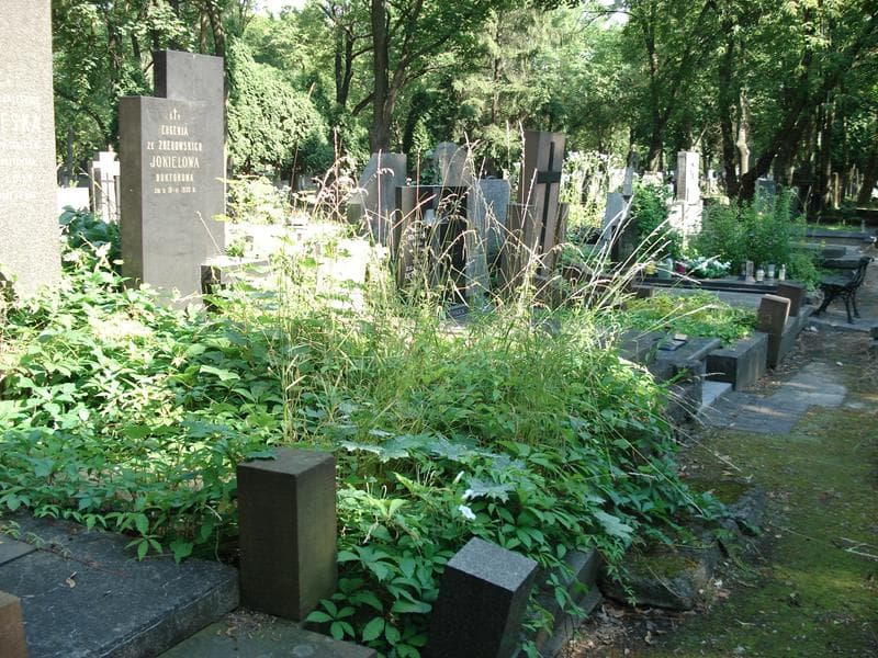 Zdjęcie grobu: Eugenja Jokielowa