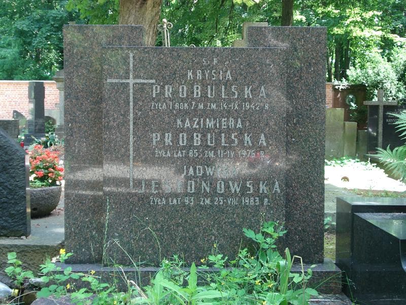 Zdjęcie grobu Jadwiga Jesionowska (2)