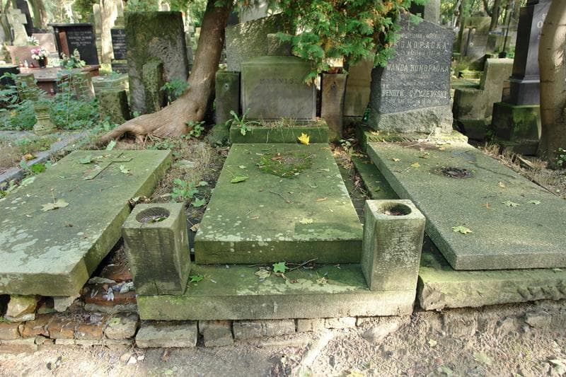 Zdjęcie grobu Kazimierz Harnisz (1)