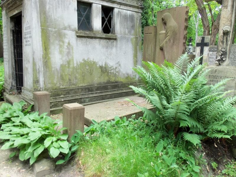 Zdjęcie grobu Maria Trawczyńska (1)