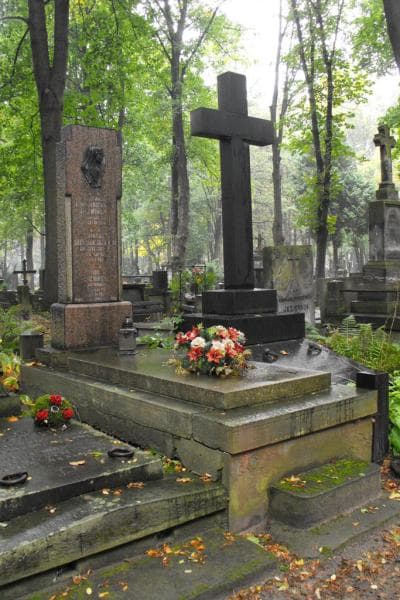 Zdjęcie grobu Teodor Jaźwiński (1)