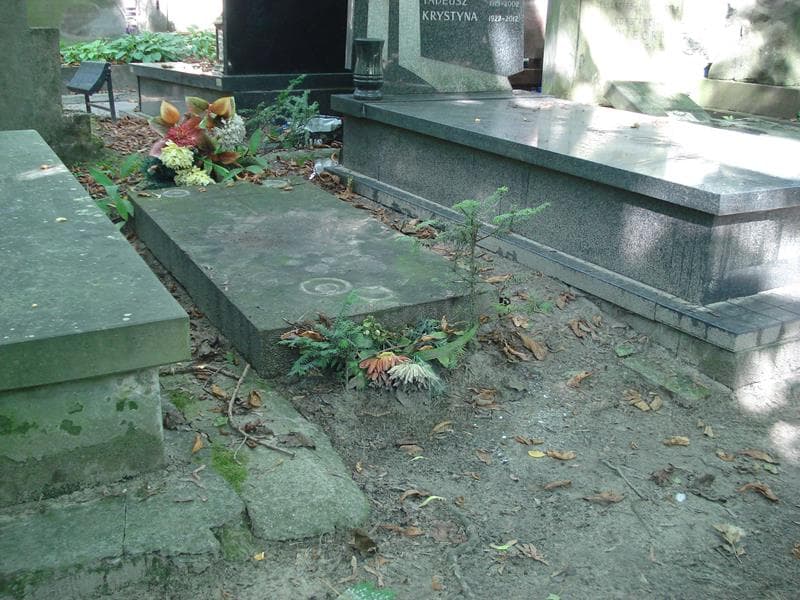 Zdjęcie grobu Alfons Bechczyc Rudnicki (1)